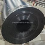Onsite Inspection HDPE Geomembrane Pond Liner Membrane Waterproof Film Sheet 0