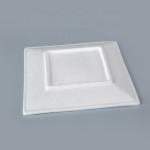 Eco Friendly Square Food Pulp Plate With Lid OEM ODM Available