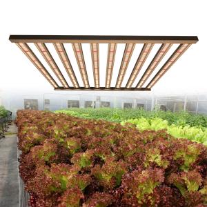 Wholesale High Par Full Spectrum 1000w Daisy Chain Led Grow Lights from china suppliers