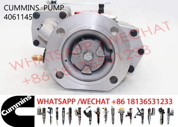 4061145 Cummins Engine Fuel Pump 3165468 4295858 3096205 4025790