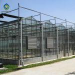 Mulit Span 9.6m Galvanized Commercial Glass Greenhouse