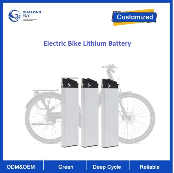 Customized Electric Bike Lithium Battery 36V 48V Multiple Protection 18650