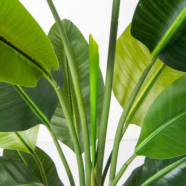 Artificial Bird of Paradise Plant 6.8FT - Luxury Faux Palm Tree in White Planter for Indoor Office Decor