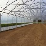 Big Size Plastic Poly Tech Greenhouse / Agricultural Single Span Greenhouse