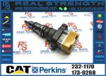 Common Rail Injector 232-1170 128-6601 222-5966 180-7431 171-9710 171-9704 178