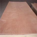 Bintangor Face Back Eucalyptus Core 5 ply Bintangor Plywood