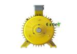 Mini Hydro Electric Magnet Alternator Generator IP54 Protection Grade