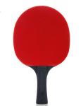 Red Blue EVA Sponge Black Handle Table Tennis Set 3 Star Bat and ABS Balls