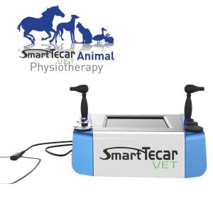 Wholesale Portable Veterinary Physiotherapy Tecar Therapy Machine For Pet Horse Dogs Cats Pain Relief from china suppliers