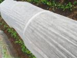 High Strength Polypropylene Nonwoven Geotextile for Customer's Technology