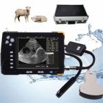 8GB Memory Livestock Ultrasound Machine 7 Inch LCD Screen Portable Veterinary