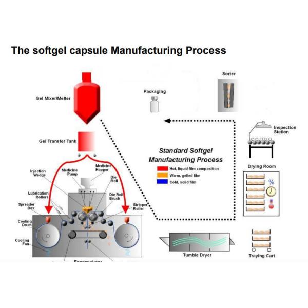 Softgel making machine spare parts