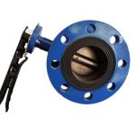 GG25 12" Water Double Flanged Butterfly Valve Central Lined