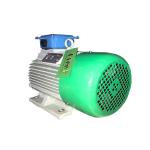 10KW 100KW Permanent Magnet Generator Free Energy Magnet Type NdFeB