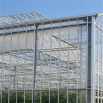 High Light Transmission Venlo Glass Greenhouse Colorful Design for Garden
