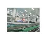 Stand-up Pouch Vegetable Flavoured Juice Production Line for Processing Type 1