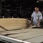 Quarter Cut Straight Africa Natural Sapele Wood Veneer For Faces And Parquet
