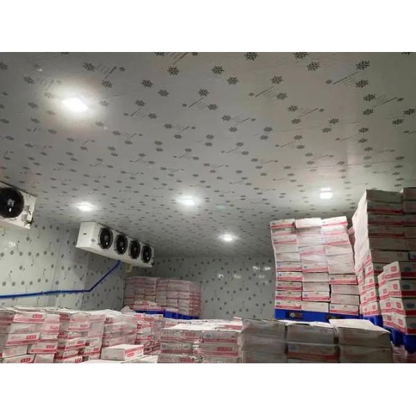 Multiple Shelves Efficient Ventilation Freezer Room Strong Bearing Capacity