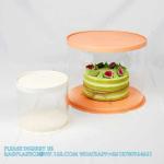 Tall Clear Cake Boxes With Ribbon - Gold Round Clear Cake Box For Birthday Cake