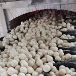 Decoiling High Strength 65% Alumina Refractory Ball 20Mm Heat Storage Ceramic