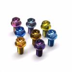 DIN6921 Factory Direc Anodized M8x30mm Flange Bolt Hex Flange Head Titanium Bolt