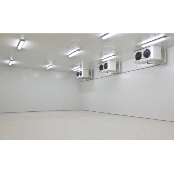 Reliable Performance Refrigerated Storage Easy Installation Freezer Room