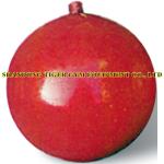Track and Field Equipment IAAF Approved Hammer for competition and training