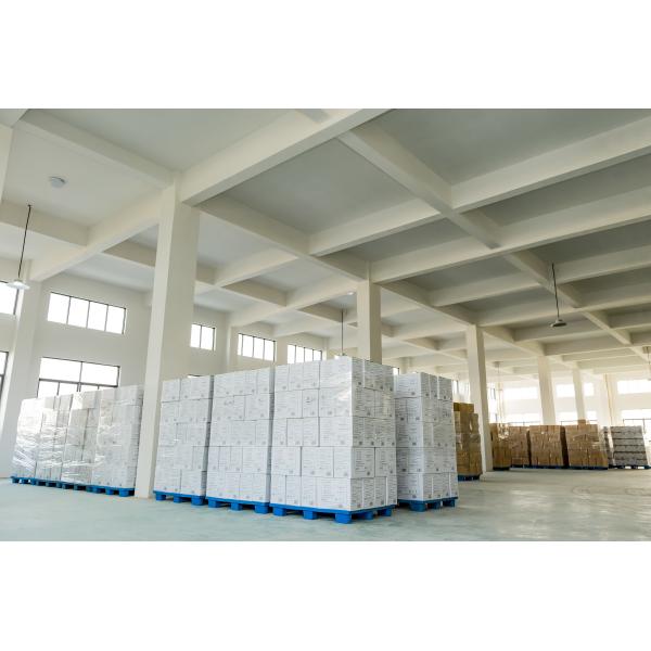 Biodegradable Microwavable Disposable Corn Starch Bowl With Lid