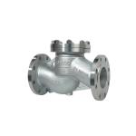 Flanged Lift Check Valve Silver Stainless Steel 304 316 316L PN16 PN25 PN40 PN64