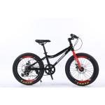 WANDA 20*2.125 Tyre 20" Steel Mountain Bike 7SP Kids' Bike With Safe And Durable