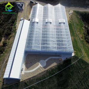 Wholesale 220V Gutter Connected Greenhouse from china suppliers