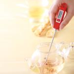 Stainless Steel 392F NSF Barbecue Beef Meat Thermometer