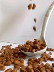 100% Natural Dried Fruit Nuts Wonderful Taste Walnuts Healthy Snack