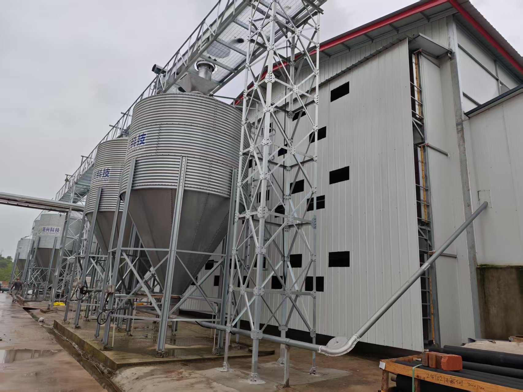 Sufficient and Even Feed Distribution Layer Chicken Cage System For Good Growth