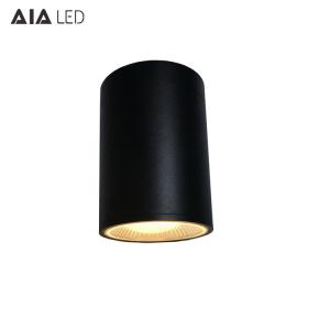 Wholesale ip65 downlight modern cylinder ceiling mounted 15W ip65 led downlight&amp;outdoor downlight ip65 from china suppliers