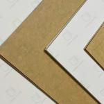 100% Virgin Wood Pulp 250+15GSM PE Coated Paper Cupstock in Roll Cup Base Paper