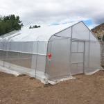 Single-span Arch Polyethylene Film Pumpkin 6m High Tunnel Plastic Greenhouse For