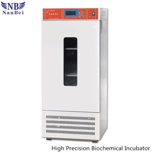 China LRH-70 Laboratory Thermostat / BOD Thermostatic Biochemical Incubator on sale China LRH-70 Laboratory Thermostat / BOD Thermostatic Biochemical Incubator on sale