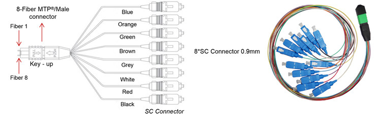 0.9mm UPC And APC Hydra Fiber Optic Cable MPO MTP Connector To SC