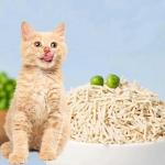 High Absorbent Flushable Tofu Cat Litter 100% Natural Environmentally Friendly