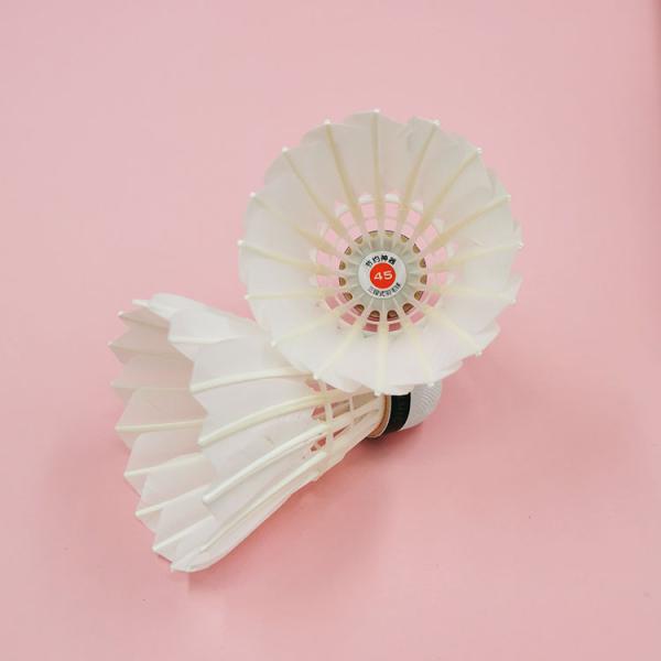 Durable Stable Hybrid Shuttlecock Goose Feather Badminton Shuttlecock For Training
