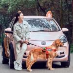 Changan Benben E-Star Electric Car 2023 Model 5 Door 5 Seats Pure Electric 75HP