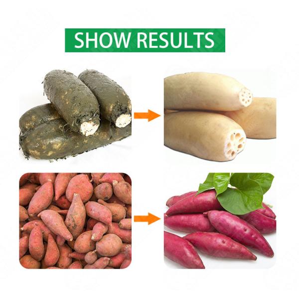 0.5KW Automatic Vegetable Washing Machine Small Air Bubble Washing Machine