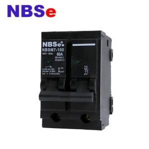 Wholesale 100A Plug Fuse Circuit Breaker from china suppliers