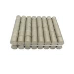 25mm Samarium Cobalt Magnet