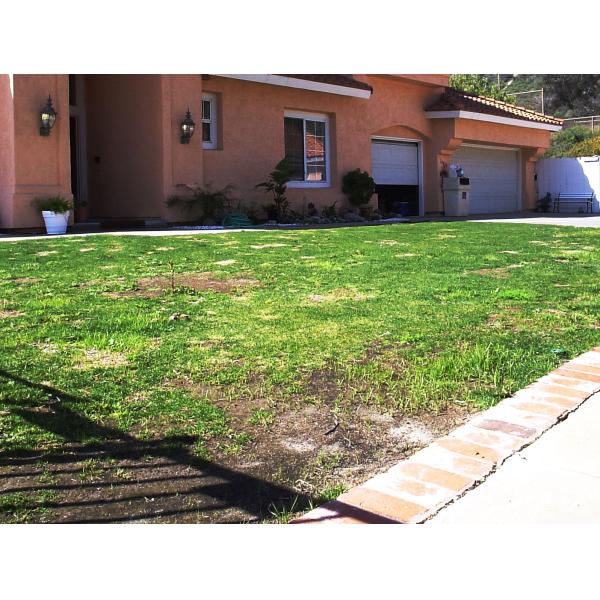 40mm Always Green Synthetic Lawns 1x25m 2x25m Garden Artificial Grass For Decorative