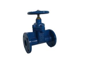 Wholesale DN150 PN 25 Ductile Iron Gate Valve Oval Body Flanged Soft Seated from china suppliers