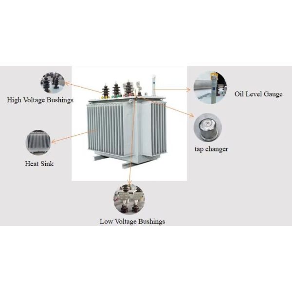 125kVA 20kV Oil-immersed Distribution Transformer S(B)22-NX1 Energy Efficiency Level 1
