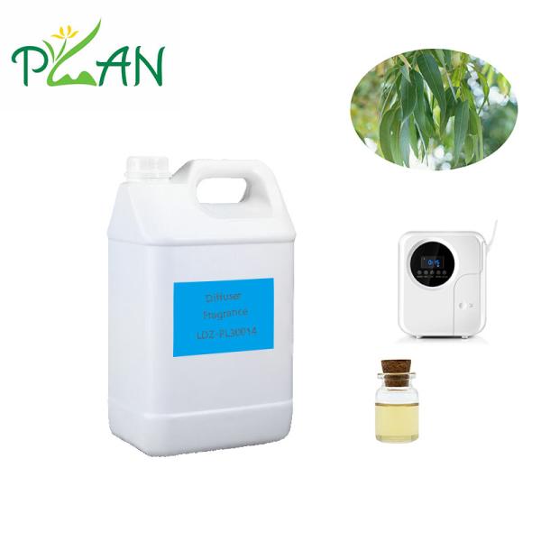 Wholesale Eucalyptus Diffuser Fragrances Pure Natural France Tea Tree Oil Fragrance from china suppliers