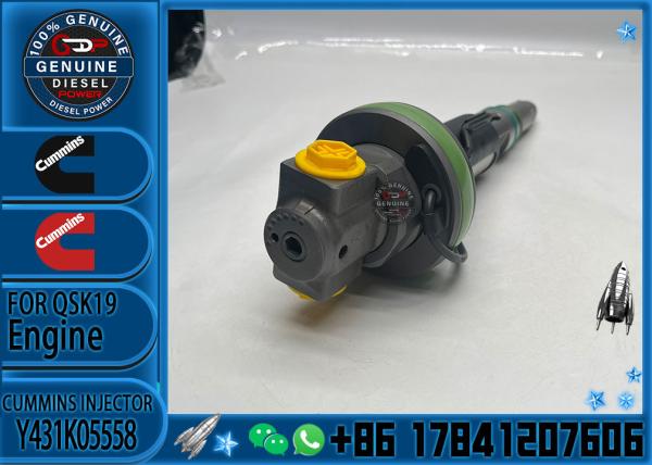 Brand New Diesel High Pressure Common Rail Fuel Injector Y431K05558 Y431K05417
